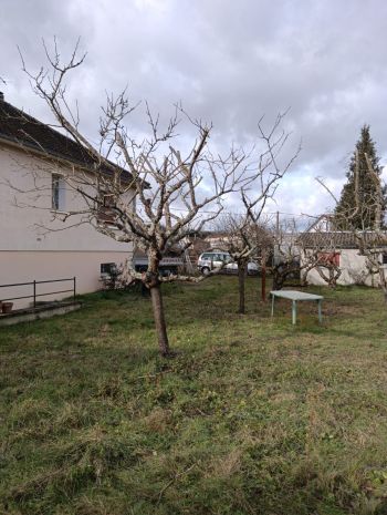 Taille d'arbres fruitiers Auxerre , Yonne - Paysages & Environnement