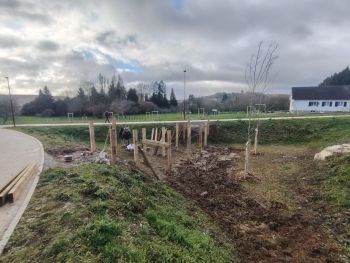 Ponton en bois Yonne - Paysages & Environnement
