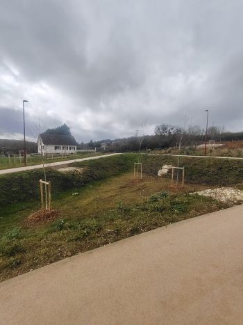 réalisation ponton bois - Paysages & Environnement